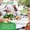 Probiotic Supreme™-lifestyle-image-7